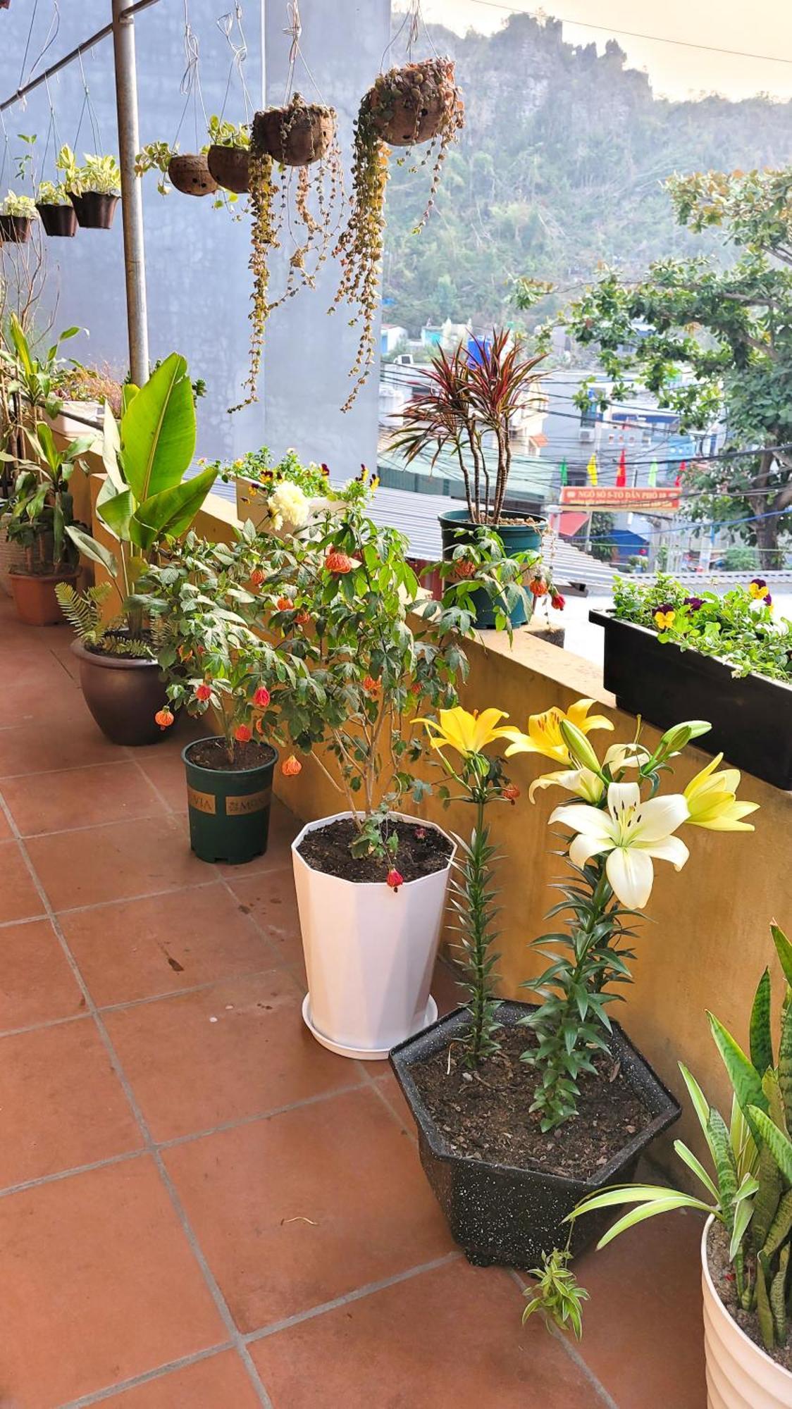 Отель Tiny Garden House Cat Ba Chan Chau Экстерьер фото