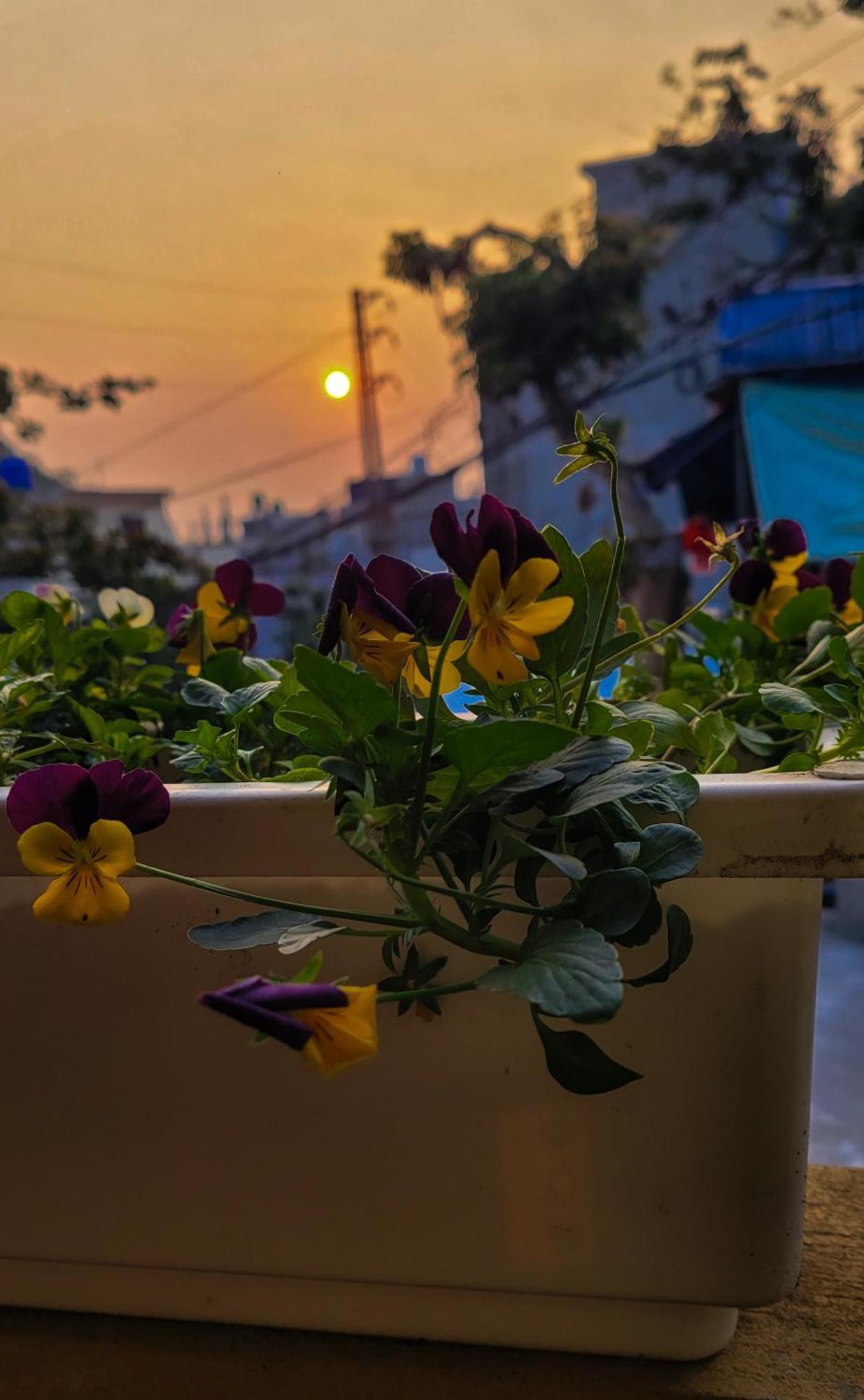 Отель Tiny Garden House Cat Ba Chan Chau Экстерьер фото