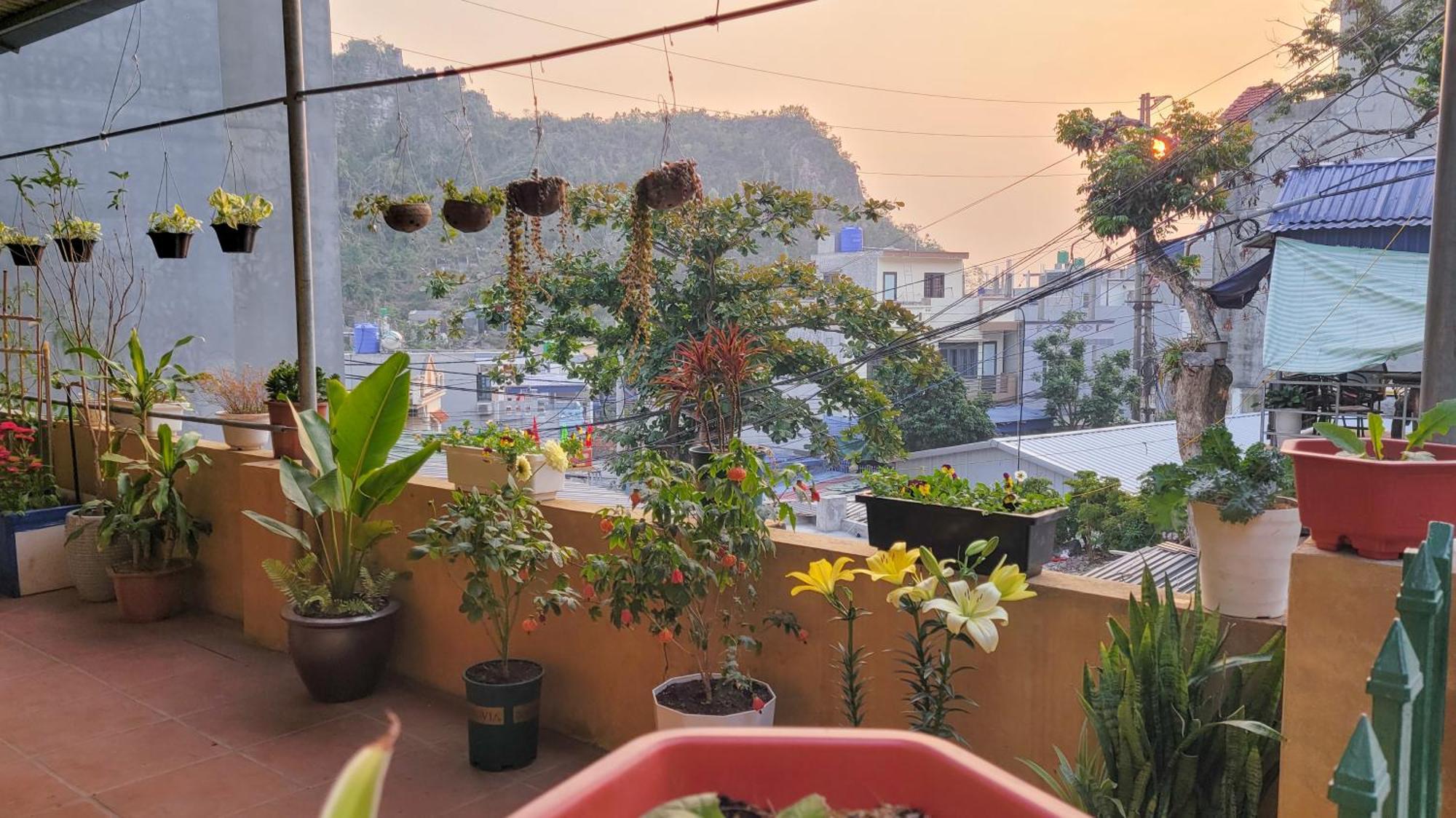 Отель Tiny Garden House Cat Ba Chan Chau Экстерьер фото